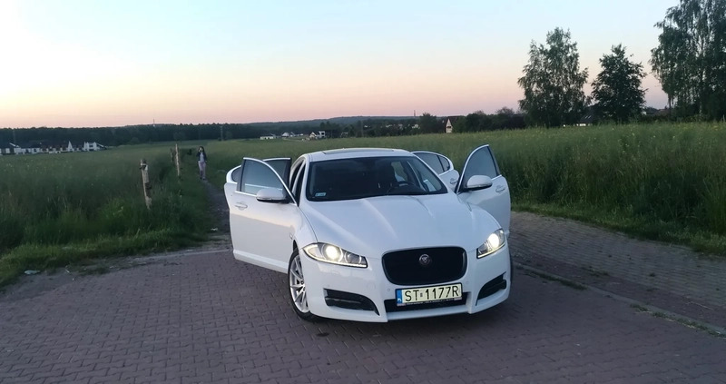 Jaguar XF cena 52000 przebieg: 118226, rok produkcji 2013 z Tychy małe 79